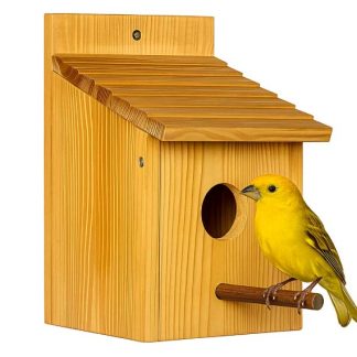 Caja Nido Aves Pequeñas | 34 mm
