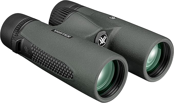 Binocular Vortex 10x42 HD - Imagen 2